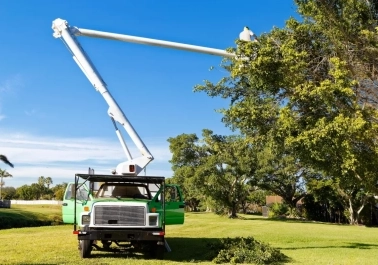 Tree Removal and Stump Grinding Services in Vancouver, WA sidebar image